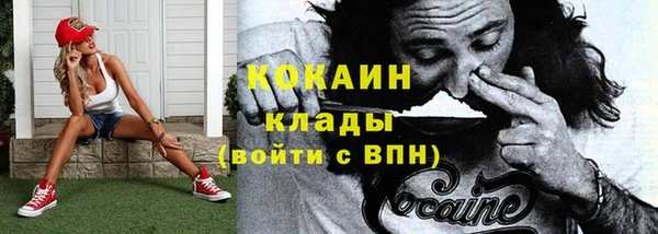 гидра Горно-Алтайск