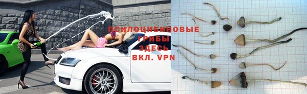 метадон Горняк