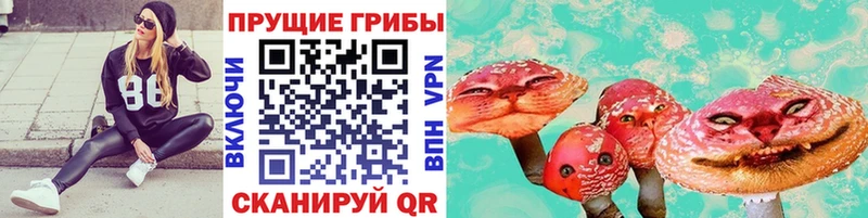 Псилоцибиновые грибы MAGIC MUSHROOMS  Купить  Красноармейск 